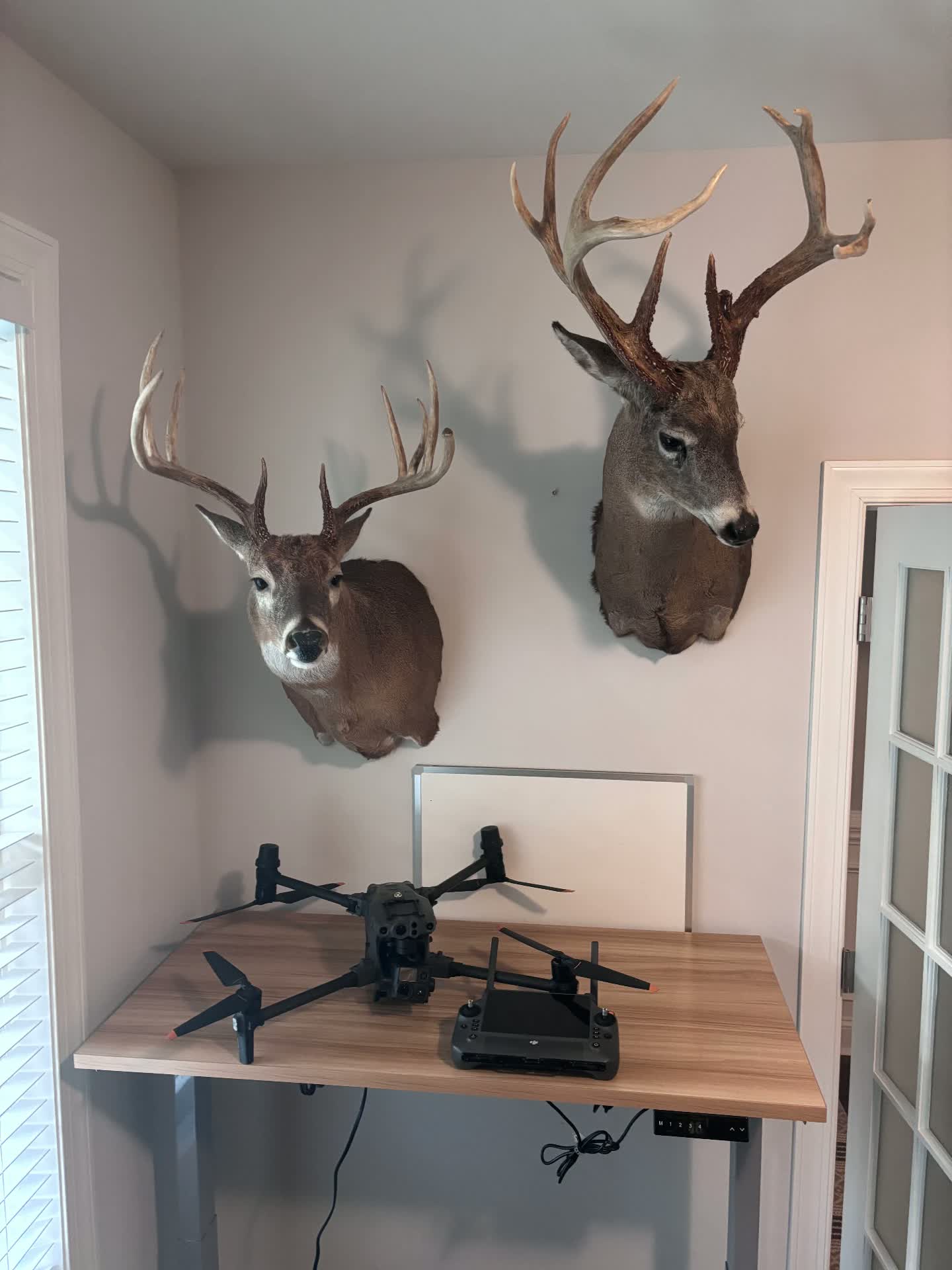 Drone staged beneath mounted whitetail bucks recovered in the field